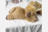 Highland Cow Stuffed Animal Plush Doll Toy