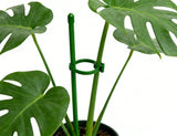 6pcs Plant Support Stakes with Clips Reusable Garden Stakes for Monstera Potted Plants