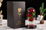 Three Rose in Glass Dome Eternal Flower with LED Light