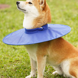 Adjustable Water Resistant Dog Cone Dog Recovery Collar