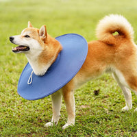 Adjustable Water Resistant Dog Cone Dog Recovery Collar