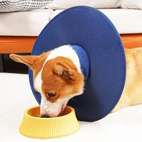 Adjustable Water Resistant Dog Cone Dog Recovery Collar