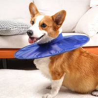 Adjustable Water Resistant Dog Cone Dog Recovery Collar