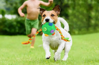 Snuffle Ball with Interactive Rope Interactive Puzzle Toys Dog Chew Toys