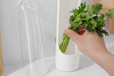 Herb Vegetable Saver for Refrigerator