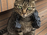 Cat Muscle Arms Costume Funny Photo Prop for Cats