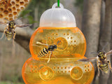 2Pcs Wasp Traps Outdoor Hanging Bee Traps Catcher