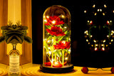 Three Rose in Glass Dome Eternal Flower with LED Light