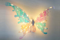 Electric Butterfly Wings with LED Lights and Music