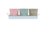 3Pcs Metal Herb Plant Pot Planter Set with Tray Indoor Garden