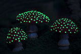 3Pcs Glow in The Dark Miniatures Mushroom Statue Luminous Mushroom Decor