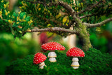 3Pcs Glow in The Dark Miniatures Mushroom Statue Luminous Mushroom Decor