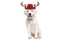 Pet Christmas Reindeer Antlers Hat