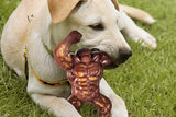Nylon Indestructible Dog Chew Toy for Aggressive Chewers
