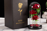 Three Rose in Glass Dome Eternal Flower with LED Light