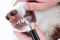 Ultrasonic Pet Plaque Remover for Dogs and Cats Teeth Cleaner