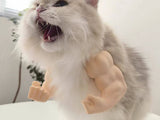 Cat Muscle Arms Costume Funny Photo Prop for Cats