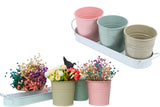3Pcs Metal Herb Plant Pot with Tray and 10Pcs Mini Chalkboard Wooden Plant Tags Stakes