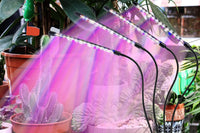 Grow Light for Indoor Plants with 9 Dimmable Levels