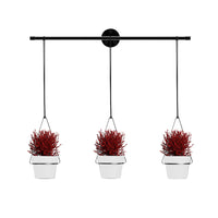 Detachable Triflora Hanging Planter Set