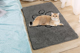 43x61cm Pet Dog Highly Absorbent Chenille Door Mat