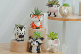 6pcs Cute Animal Shaped Plant Succulent Pots Indoor Outdoor Planter