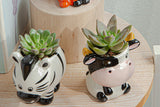 6pcs Cute Animal Shaped Plant Succulent Pots Indoor Outdoor Planter