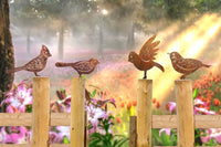 4Pcs Rusty Metal Birds Fence Art Decor