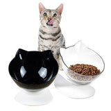 15 Degree Tilted Cat Food Bowl with Stand Single or Double Dish Feeder