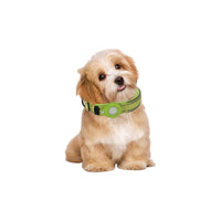Protective Case for AirTag Pet Collar Holder