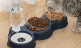 Pet Feeding Bowl