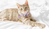 Two-Pack Flower Printed Cat Collar for Airtag