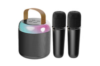 Bluetooth Mini Karaoke Machine Portable Speaker with 2 Wireless Microphone