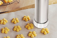 Cookie Biscuit Press Set with 20 Cookie Discs and 4 Icing Tips