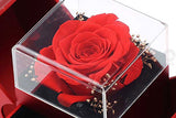 Eternal Love Necklace with Rose Gift Box and Best Wishes Card