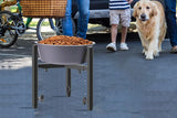 Elevated Dog Bowl Stand with 4 Height Adjustments