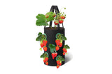 3 Gallon Grow Bag for Strawberry Vegetables with 12 Planting Holes