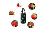 3 Gallon Grow Bag for Strawberry Vegetables with 12 Planting Holes