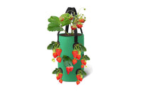 3 Gallon Grow Bag for Strawberry Vegetables with 12 Planting Holes