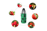 3 Gallon Grow Bag for Strawberry Vegetables with 12 Planting Holes