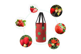 3 Gallon Grow Bag for Strawberry Vegetables with 12 Planting Holes