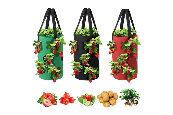 3 Gallon Grow Bag for Strawberry Vegetables with 12 Planting Holes