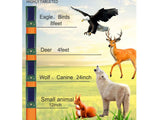 Solar Ultrasonic LED Animal Repeller for Outdoor