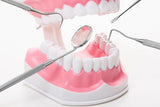 6Pcs Professional Dental Tool Kit  Stainless Steel Oral Care Set