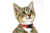 Dog Collar Holder For Apple AirTag Protective Case