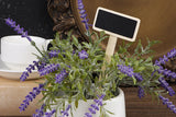 3Pcs Metal Herb Plant Pot with Tray and 10Pcs Mini Chalkboard Wooden Plant Tags Stakes