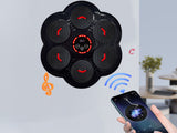 9 Modes and 9 Speeds Wall Mounted Music Boxing Machine