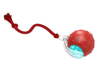 Chirping & Motion Activate Interactive Cat Toy Ball for Indoor