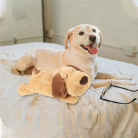 Pet Puppy Cat Soft Plush Toy Heartbeat Sleeping Buddy Dog Behavioral Anxiety Aid