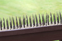 Trimmable Stainless Steel Bird Spikes for Outdoor Pigeons and Other Small Birds